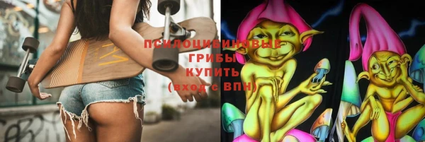 стафф Касимов