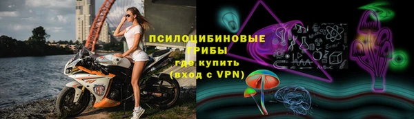 индика Карталы