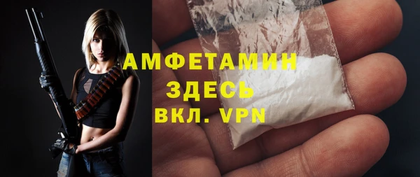 стафф Касимов