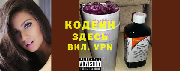 стафф Касимов