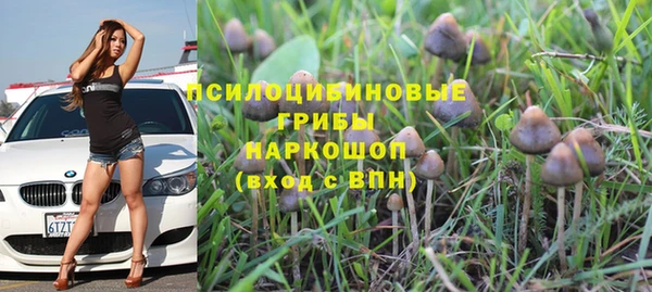 индика Карталы