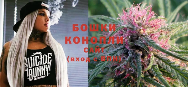 стафф Касимов