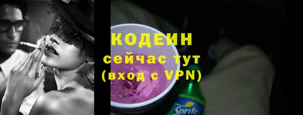индика Карталы
