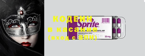 индика Карталы