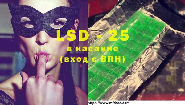 стафф Касимов