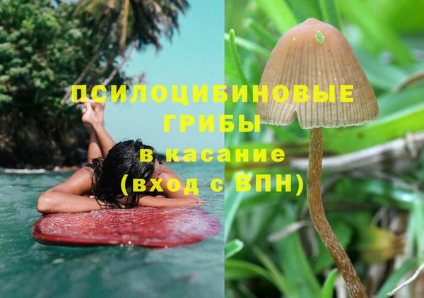 индика Карталы