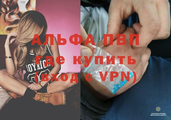 стафф Касимов