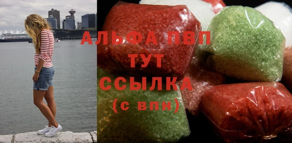 индика Карталы