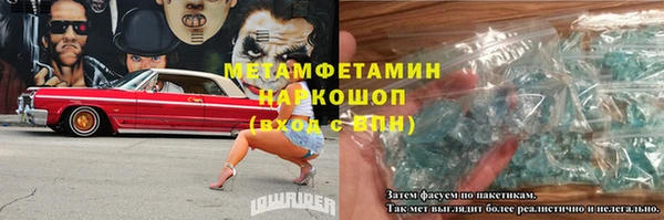 стафф Касимов