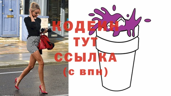 стафф Касимов