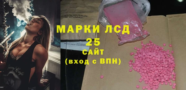 индика Карталы