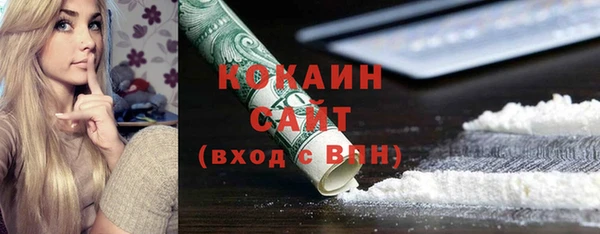 стафф Касимов