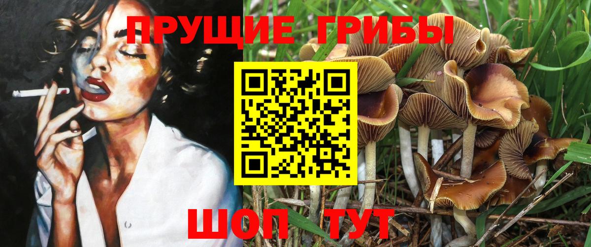 Галлюциногенные грибы мухоморы  Вход с VPN  Псилоцибиновые грибы GOLDEN TEACHER  Фролово 