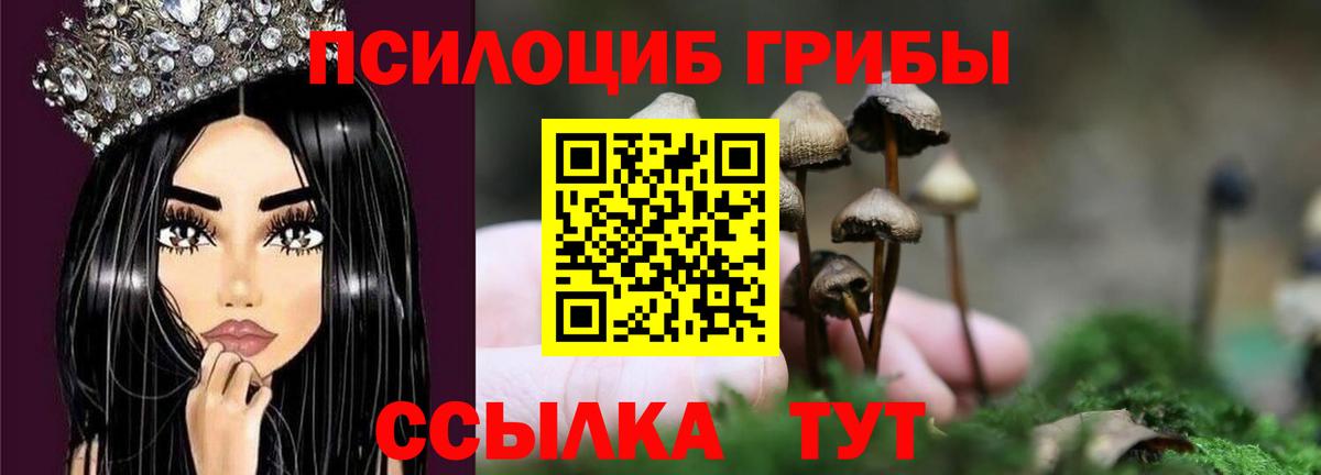 Галлюциногенные грибы мицелий Фролово